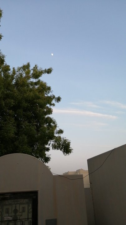 مشاركاتي في أنت الراصد