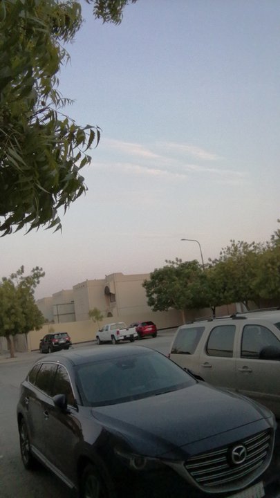 مشاركاتي في أنت الراصد