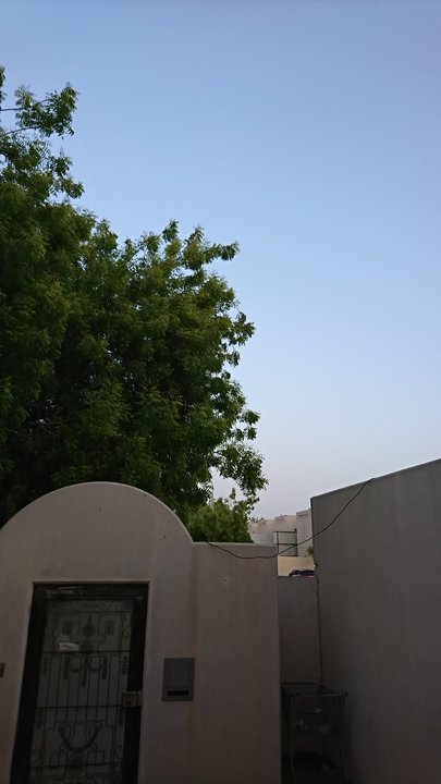 مشاركاتي في أنت الراصد