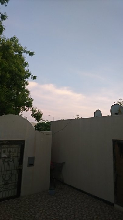 مشاركاتي في أنت الراصد