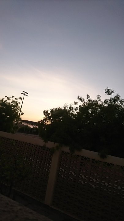 مشاركاتي في أنت الراصد