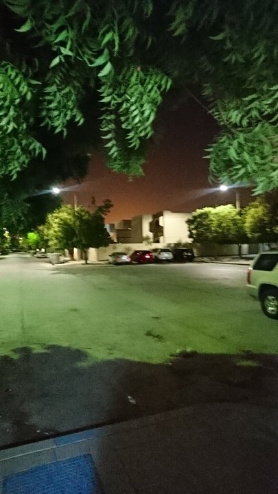 مشاركاتي في أنت الراصد