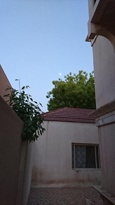 مشاركاتي في أنت الراصد