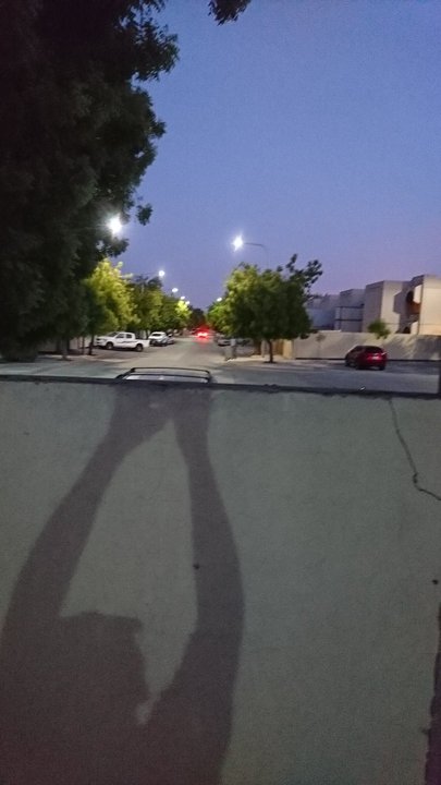 مشاركاتي في أنت الراصد