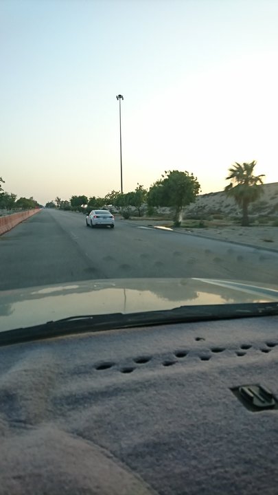 مشاركاتي في أنت الراصد