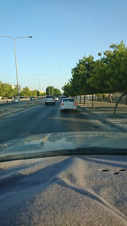 مشاركاتي في أنت الراصد