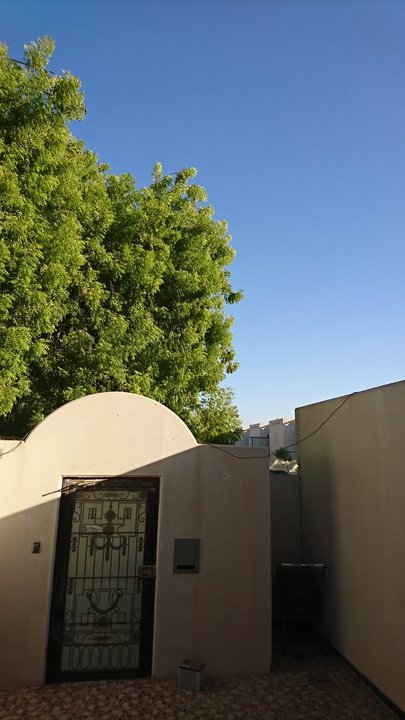 مشاركاتي في أنت الراصد