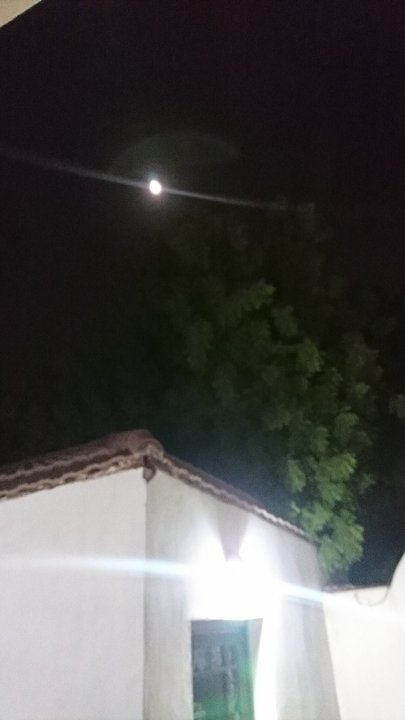 مشاركاتي في أنت الراصد