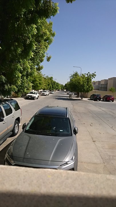 مشاركاتي في أنت الراصد