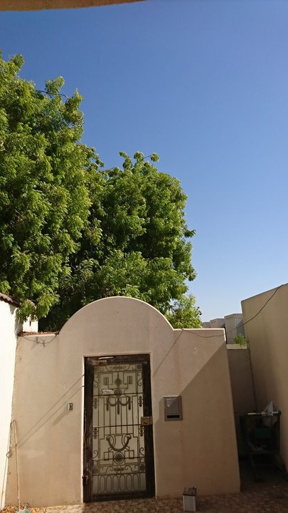 مشاركاتي في أنت الراصد