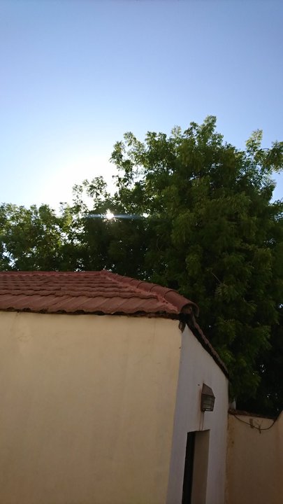 مشاركاتي في أنت الراصد