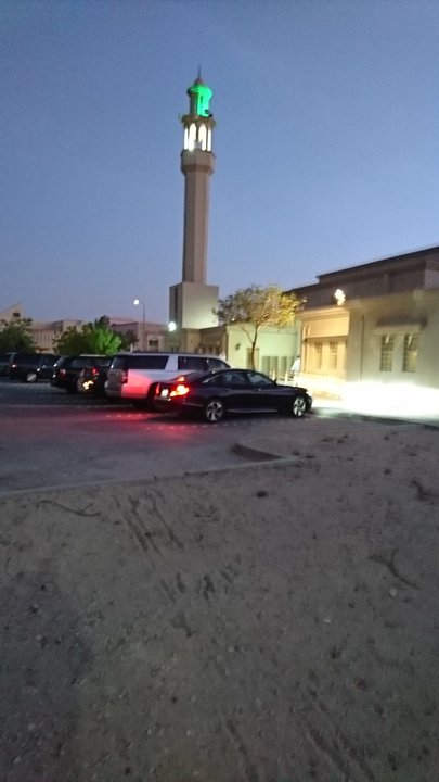 مشاركاتي في أنت الراصد