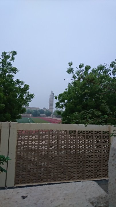 مشاركاتي في أنت الراصد