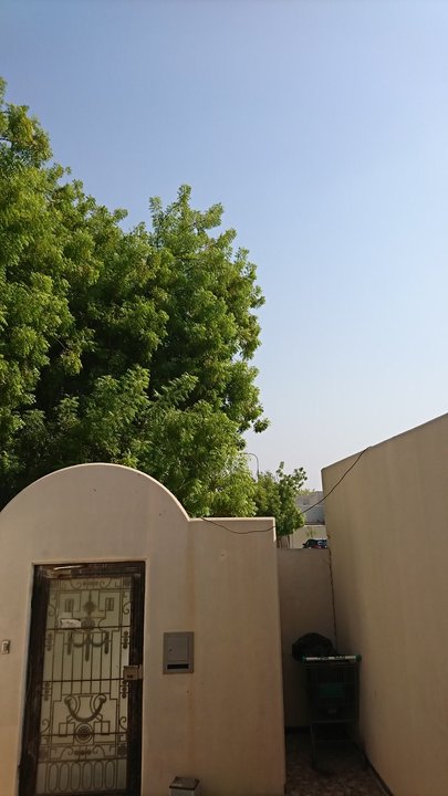 مشاركاتي في أنت الراصد