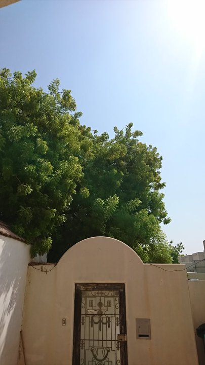 مشاركاتي في أنت الراصد