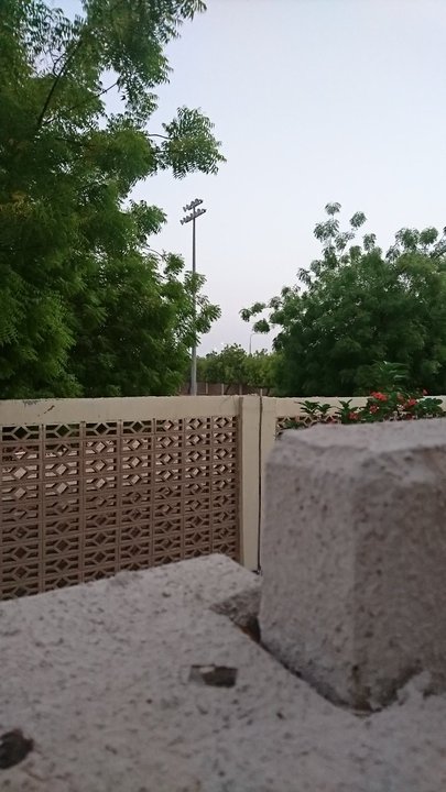 مشاركاتي في أنت الراصد