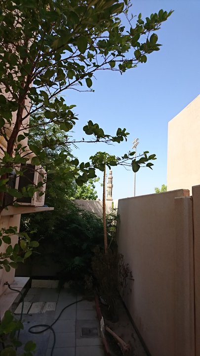 مشاركاتي في أنت الراصد