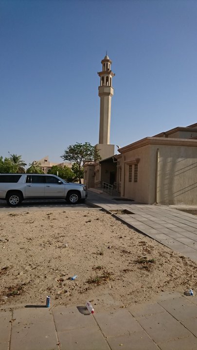 مشاركاتي في أنت الراصد