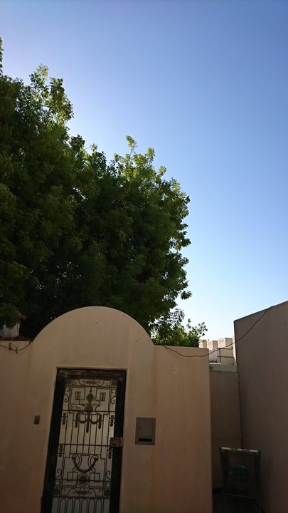 مشاركاتي في أنت الراصد