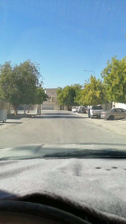 مشاركاتي في أنت الراصد