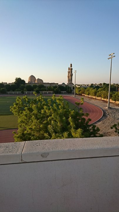 مشاركاتي في أنت الراصد