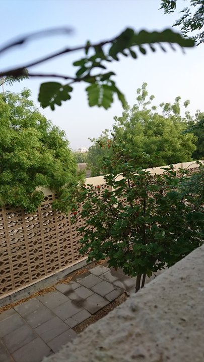 مشاركاتي في أنت الراصد