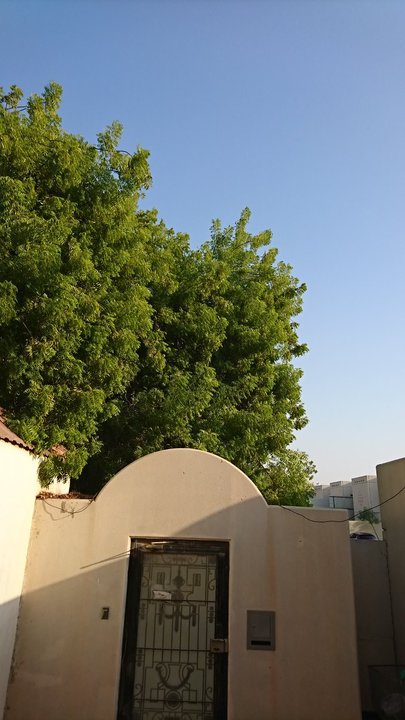 مشاركاتي في أنت الراصد