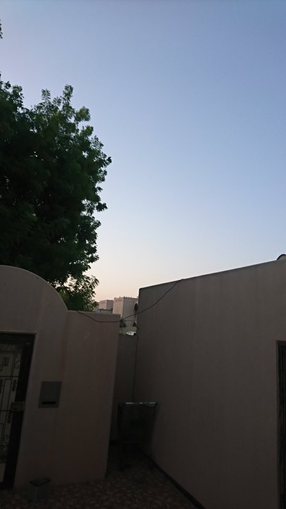 مشاركاتي في أنت الراصد