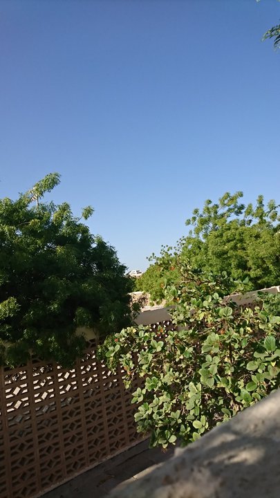 مشاركاتي في أنت الراصد