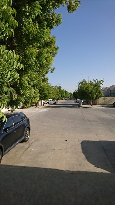 مشاركاتي في أنت الراصد