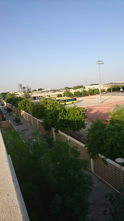 مشاركاتي في أنت الراصد