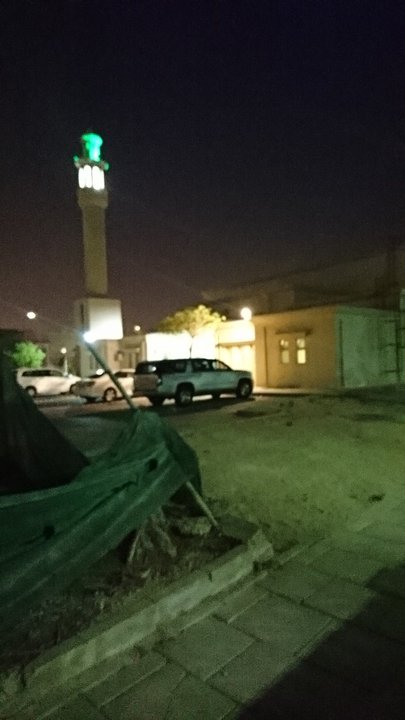 مشاركاتي في أنت الراصد