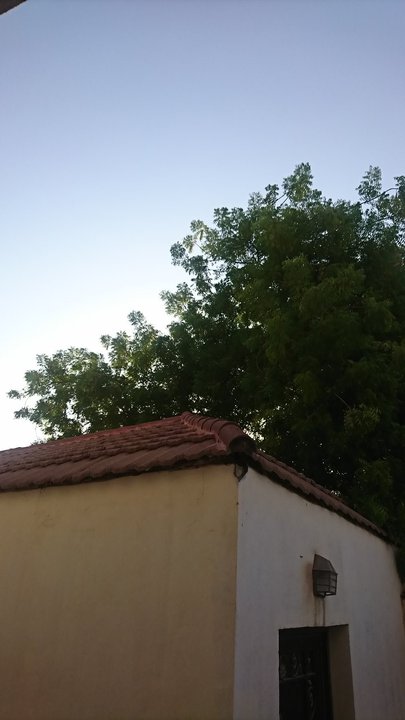 مشاركاتي في أنت الراصد