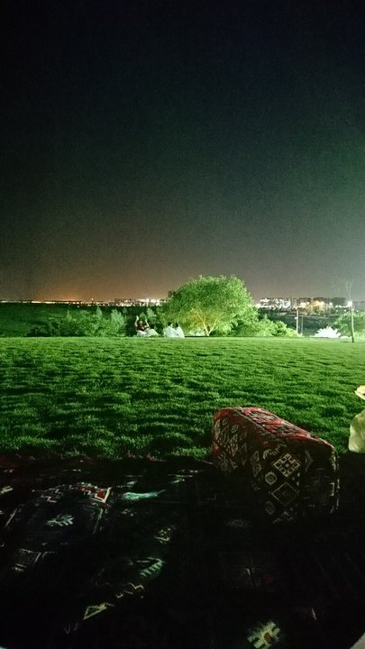 مشاركاتي في أنت الراصد