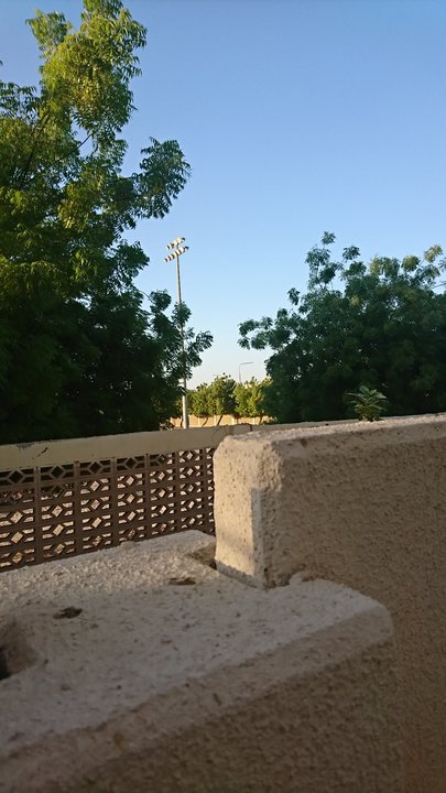 مشاركاتي في أنت الراصد