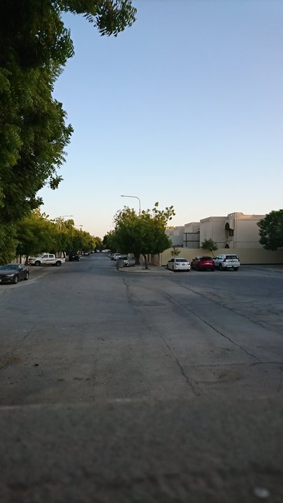 مشاركاتي في أنت الراصد