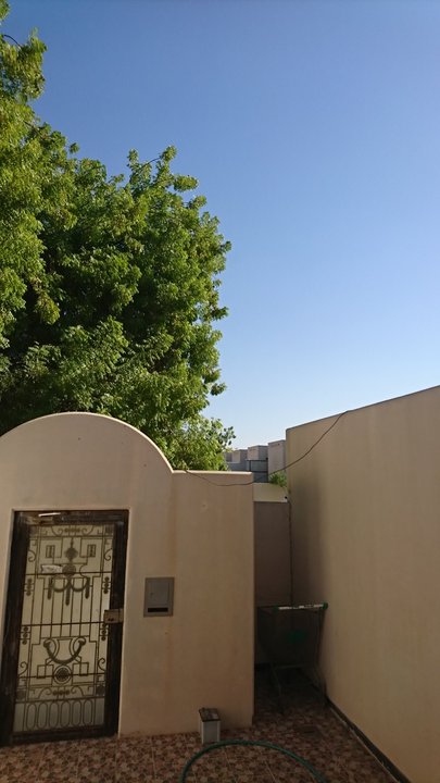 مشاركاتي في أنت الراصد