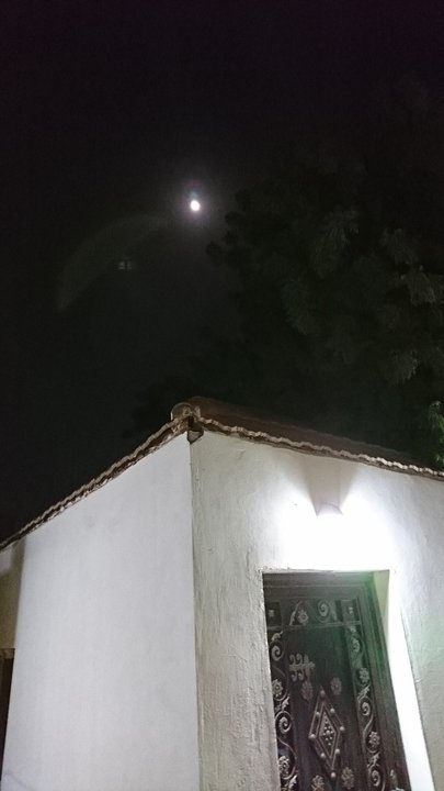 مشاركاتي في أنت الراصد