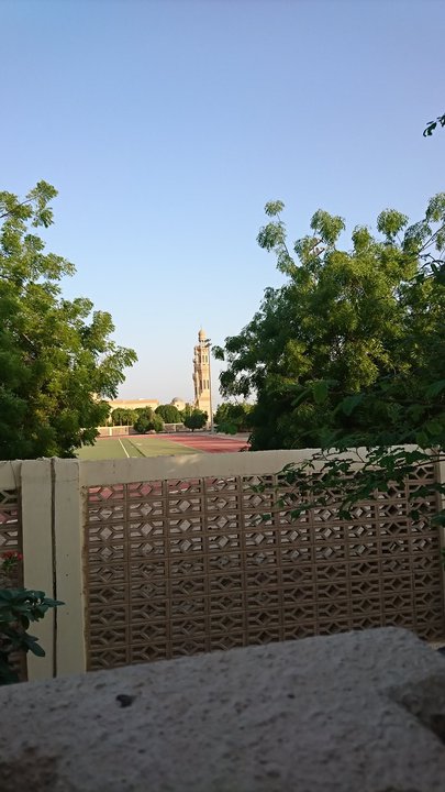 مشاركاتي في أنت الراصد