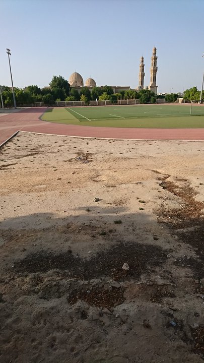 مشاركاتي في أنت الراصد