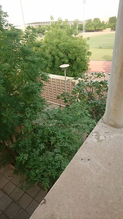 مشاركاتي في أنت الراصد