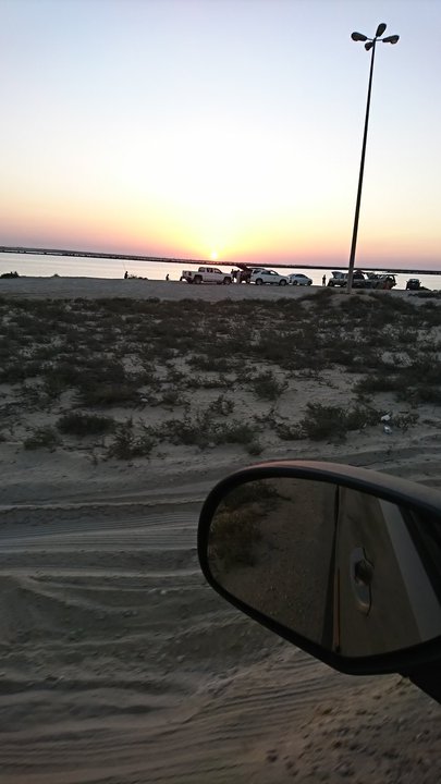 مشاركاتي في أنت الراصد