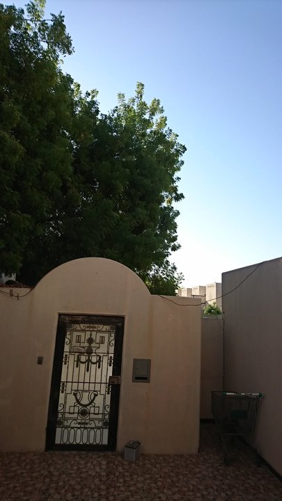 مشاركاتي في أنت الراصد