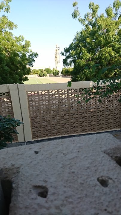 مشاركاتي في أنت الراصد