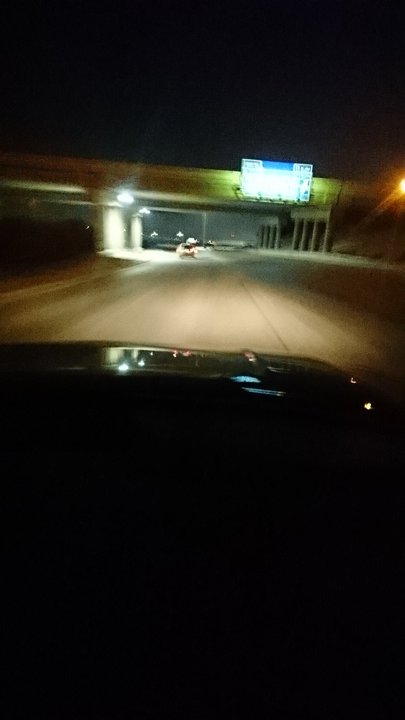 مشاركاتي في أنت الراصد