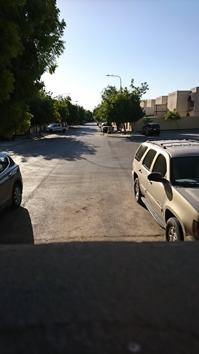 مشاركاتي في أنت الراصد