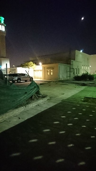 مشاركاتي في أنت الراصد