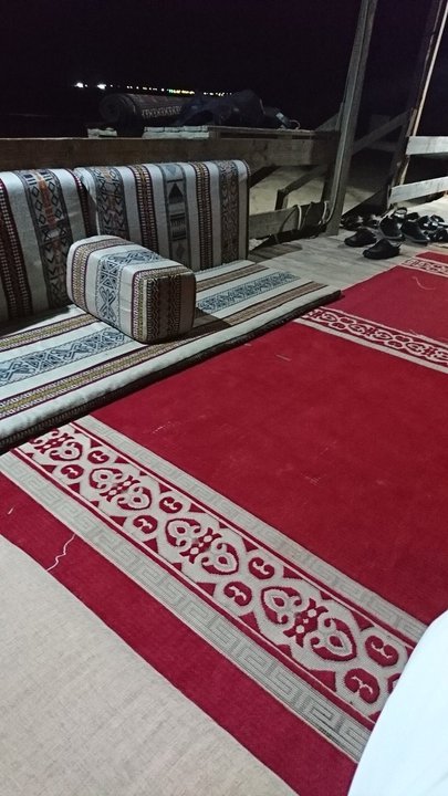 مشاركاتي في أنت الراصد