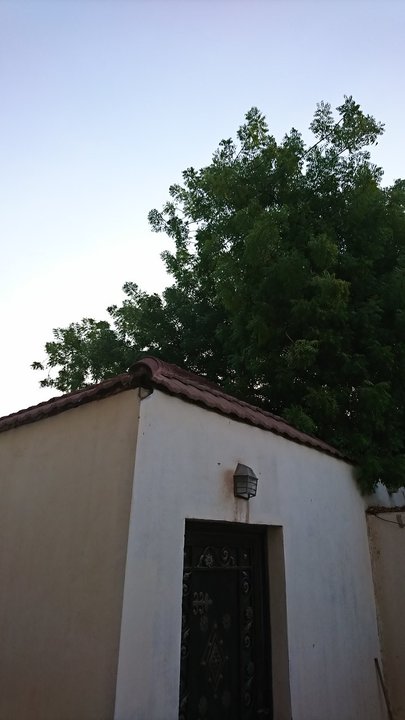 مشاركاتي في أنت الراصد