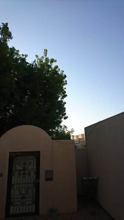 مشاركاتي في أنت الراصد